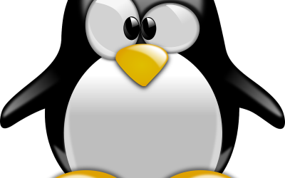 Welches Linux passt zu mir? Linux 0 auf 100